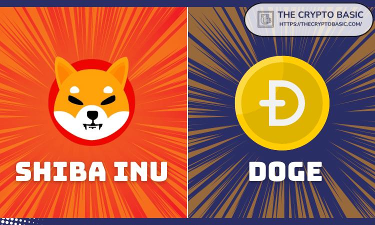 专家称Shiba Inu目前落后于狗狗币,但预计将很快超越
